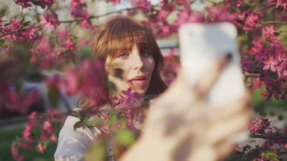 Young Attractive Redhaired Woman Taking Photos of Spring Flowers of Cherry or Sakura Blossoms on