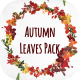 Autumn Leaves Pack - VideoHive Item for Sale