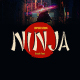 Ninja - Brush Font - GraphicRiver Item for Sale