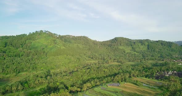 Aerial flight showing tropical plantation and vegetated mountains in Indonesia - Beautiful sunny day