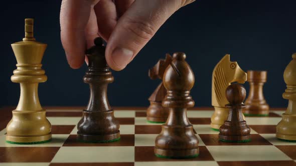 Checkmate In Game Of Chess Moving Shot