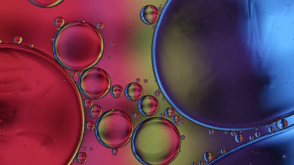 Abstract Colorful Food Oil Drops Bubbles 141