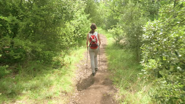 A woman hiker with hiking poles and a backpack walking through a bright sunny forest in the France c