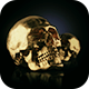Gold Skull 3D Renders - GraphicRiver Item for Sale