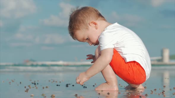 Cute Little Child Plays Near the Sea, Kid Catches, Considers Live Sea Shells, Crabs, On a Tropical