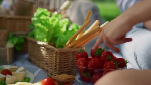 Delicious Lunch on Summer Picnic Closeup