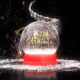 Snow Globe Logo - VideoHive Item for Sale