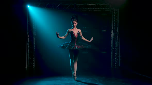 Graceful Ballerina in a Chic Image of a Black Swan. Classical Ballet Choreography. Shot in a Dark