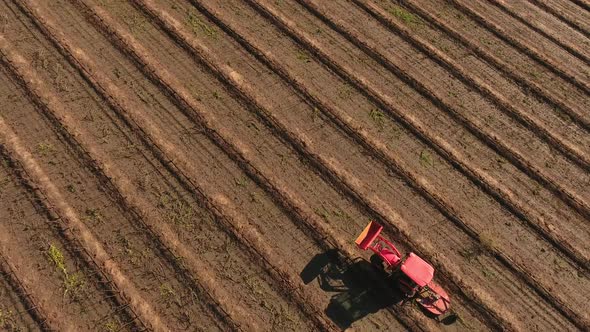 Aerial view of tractor on farm driving down rows