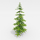Fir tree - 3DOcean Item for Sale