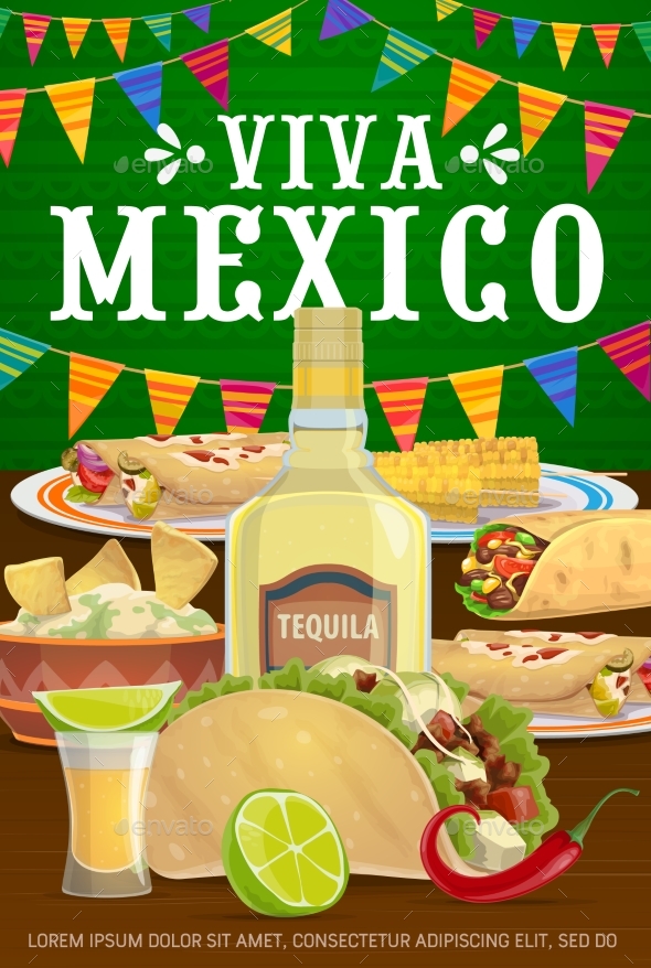 Viva Mexico Vector Poster with Mexican Food Meals
