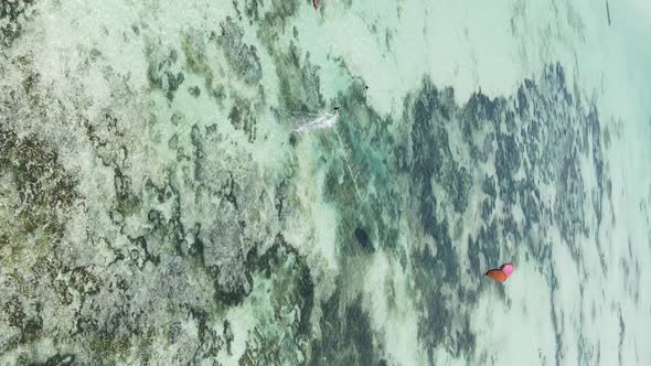 Zanzibar Tanzania  Vertical Video Kitesurfing Near the Shore of Ocean Slow Motion