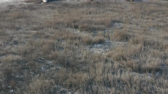 Several Old Abandoned Fighter Jets at the Military Training Ground  Reveal Shot