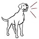 Dog Bark