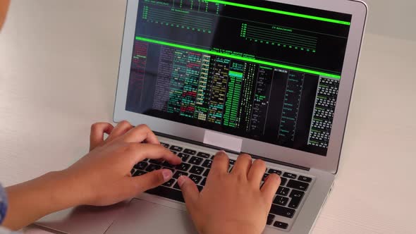 The Female Hands of a Cyber Criminal Quickly Type Text on a Laptop Keyboard