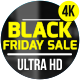 Black Friday Sale - VideoHive Item for Sale