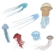 Vector Cartoon Set of Jellyfishes - GraphicRiver Item for Sale