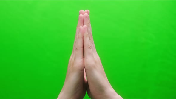 Closeup of a Hand Gesture on a Green Background Two Palms Folded Together Shooting Gesturing in