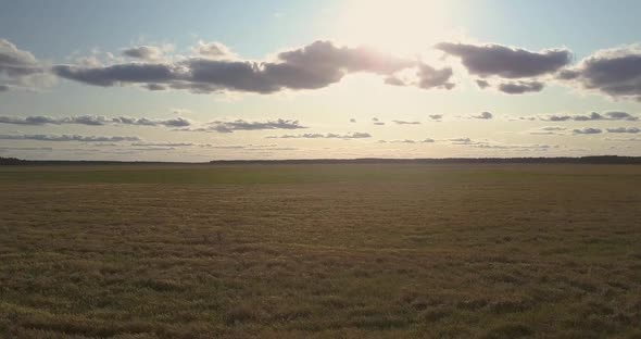 Upper View Green and Yellow Meadows Against Sunset Sky