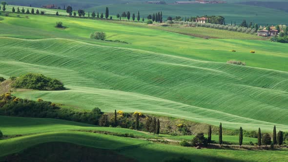 Shadows of Clouds Slide on Hills of Tuscany, Italy