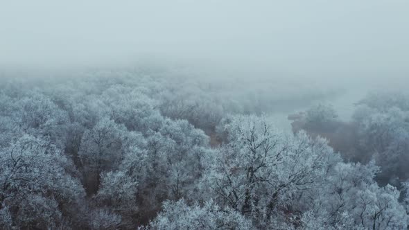 Snow covered forest. Aerial drone view of a winter landscape