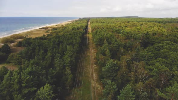 AERIAL: Flying Near Woodland Path Above Electricity Lines on a Cloudy Day