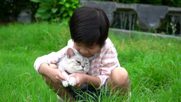 Cute Asian Child Playing With Scottish Cat In The Park