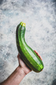 Hand holding zucchini - PhotoDune Item for Sale