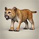 Low Poly Baby Lion - 3DOcean Item for Sale