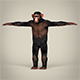 Low Poly Chimpanzee - 3DOcean Item for Sale