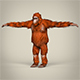 Low Poly Orangutan - 3DOcean Item for Sale