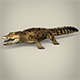 Low Poly Crocodile - 3DOcean Item for Sale