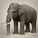 Low Poly Elephant - 3DOcean Item for Sale