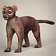 Low Poly Fossa - 3DOcean Item for Sale