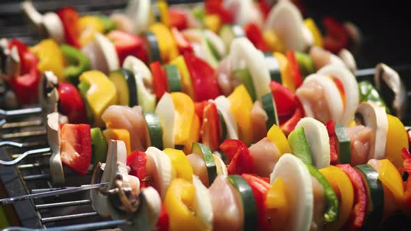 Colorful and Tasty Grilled Shashliks on Outdoor Summer Barbecue