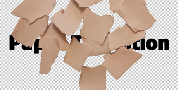 Paper Transition 6 alt