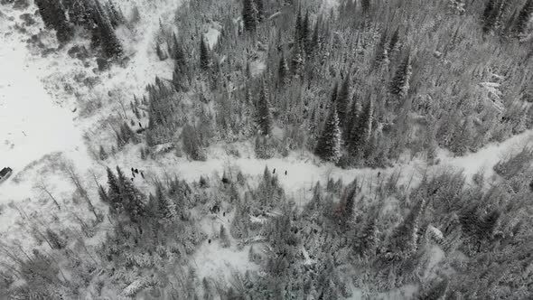 Aerial view as a family walks a snowy trail in Idaho's Cassia District of the Sawtooth Forest.