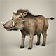 Low Poly Warthog - 3DOcean Item for Sale