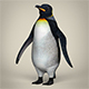 Low Poly Penguin - 3DOcean Item for Sale