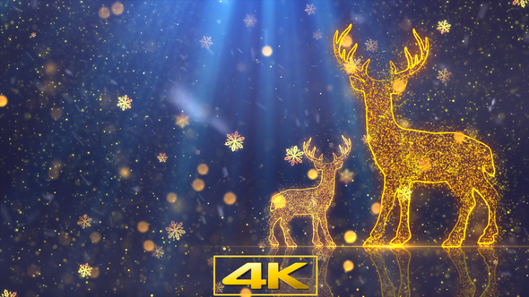 Christmas Rein Deer Background 3