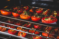 Baking Tomatoes with Herbs and Garlic in Oven - PhotoDune Item for Sale