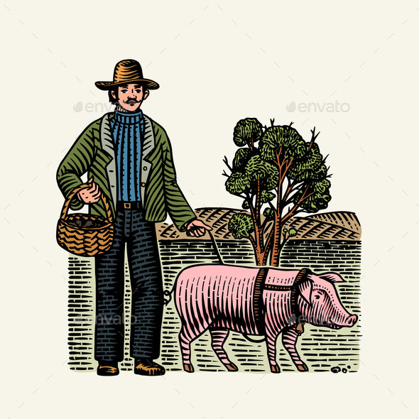 Hog and Farmer for Locating Truffles Mushrooms