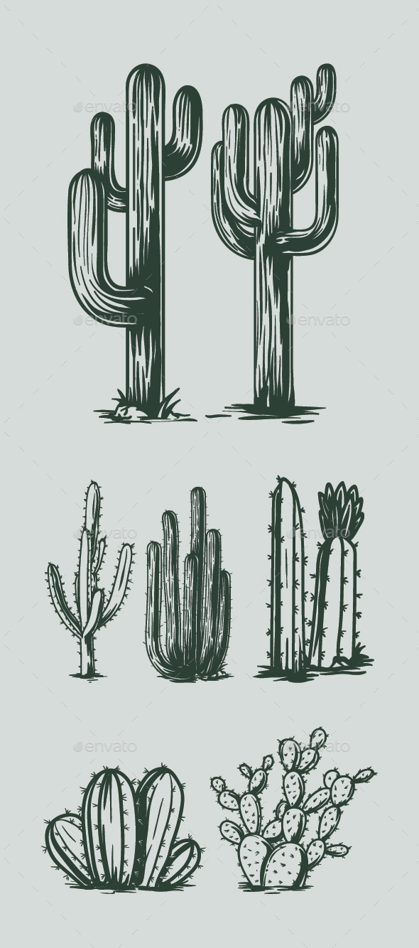 Desert Cactus Hand Drawn Vector Graphics