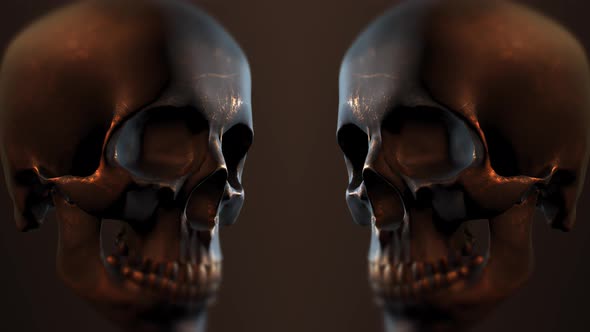 Two Scratched Skulls Zoom In Background