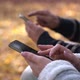 Young Male and Woman Use Phone in the Autumn Park Sitting on a Bench - VideoHive Item for Sale