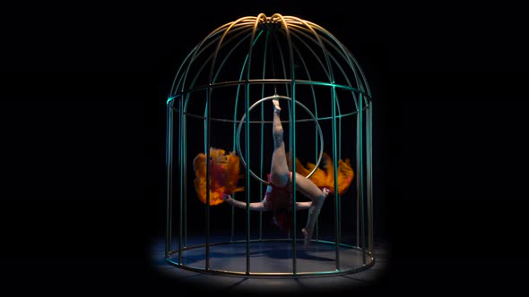 Actress Rotates on the Air Hoop in a Cage, Black Background