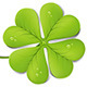 Green clover with drops  - GraphicRiver Item for Sale