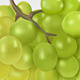 Bunch of green grapes  - GraphicRiver Item for Sale