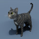 Cartoon Cat Brown Grey Striped 3D Model - 3DOcean Item for Sale