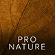 Professional Nature Desktop & Mobile Lightroom Presets - GraphicRiver Item for Sale